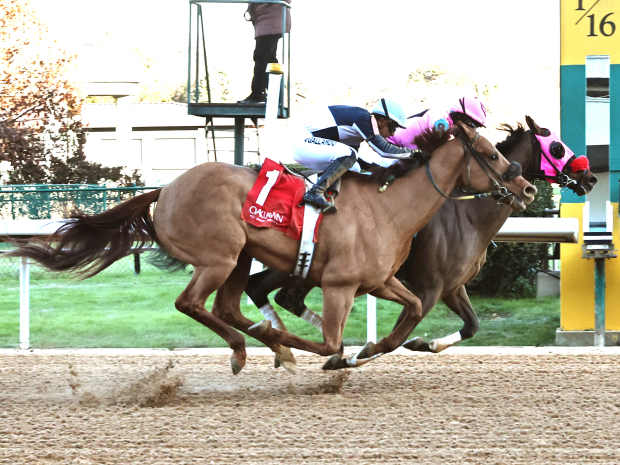 American Law (inside) gives trainer Sarah Shaffer her first career training win