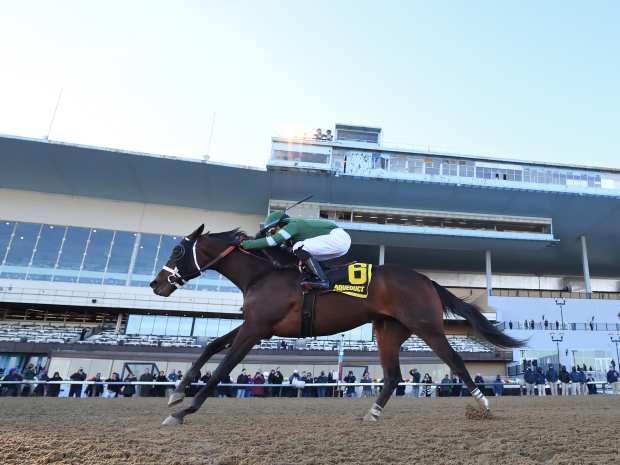 Captain Cook and Manny Franco drive toward a win in the Withers