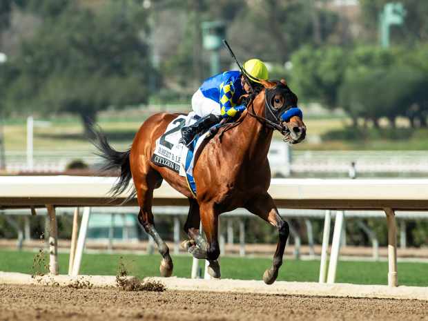 Champion Citizen Bull returned with a victory in the Robert B. Lewis Stakes at Santa Anita