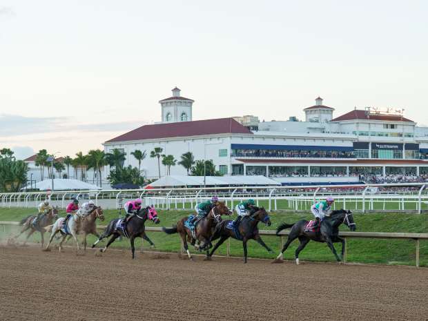 Disco Time leads the field in the first turn of the 2026 Pegasus World Cup (G1)
