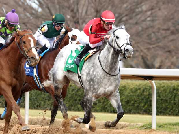 Roll On Big Joe, ridden by Julien Leparoux, wins the King Cotton (L) at Oaklawn