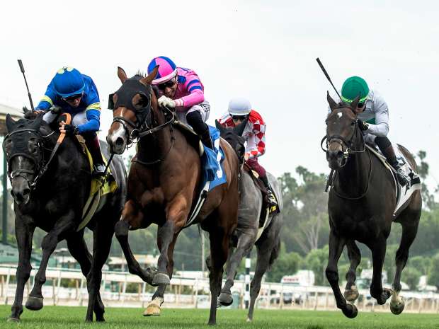 Firenze Flavor, outside, with Drayden Van Dyke aboard, outfinishes Miso Phansy, center, and favorite and pacesetter Jungle Peace by the slimmest of margins in the Honeymoon (G3)