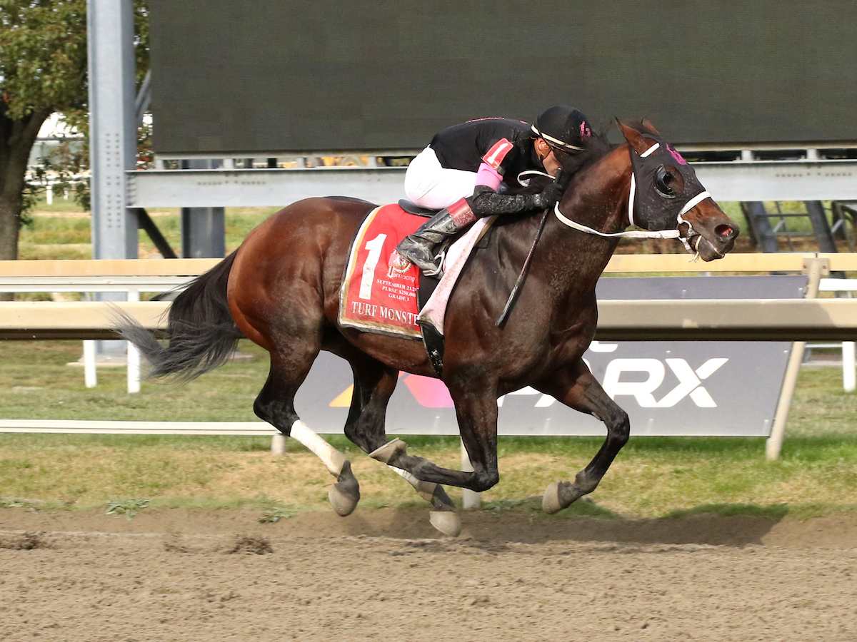 Rx Horse Racing Forum: Ultimate Insights & Winning Strategies