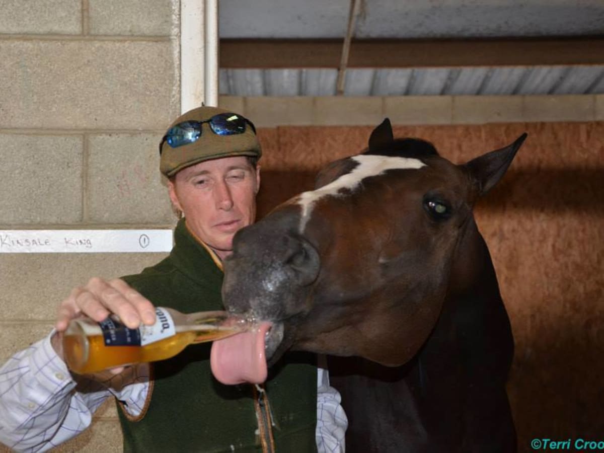 Knocking Back A Cold One: What Does Beer Do For Horses? - Paulick 