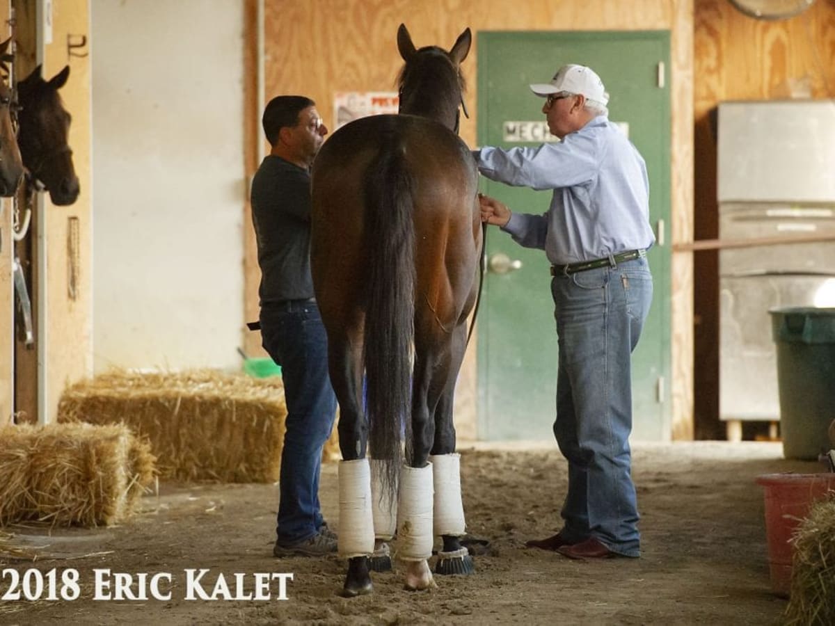 Spinal Stenosis - Oaklawn