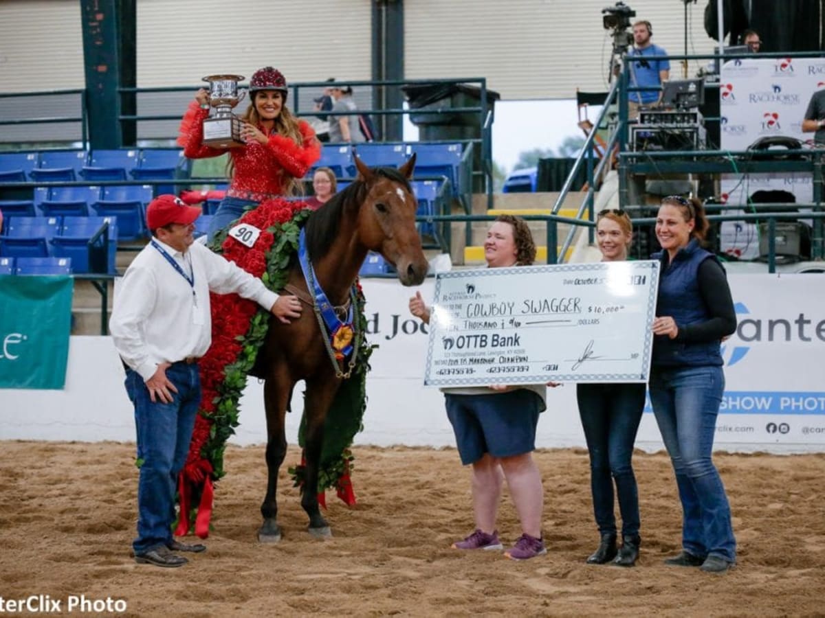 A Decade In, How Are We Doing With Thoroughbred Aftercare? - Paulick Report  | Shining Light on the Horse Industry