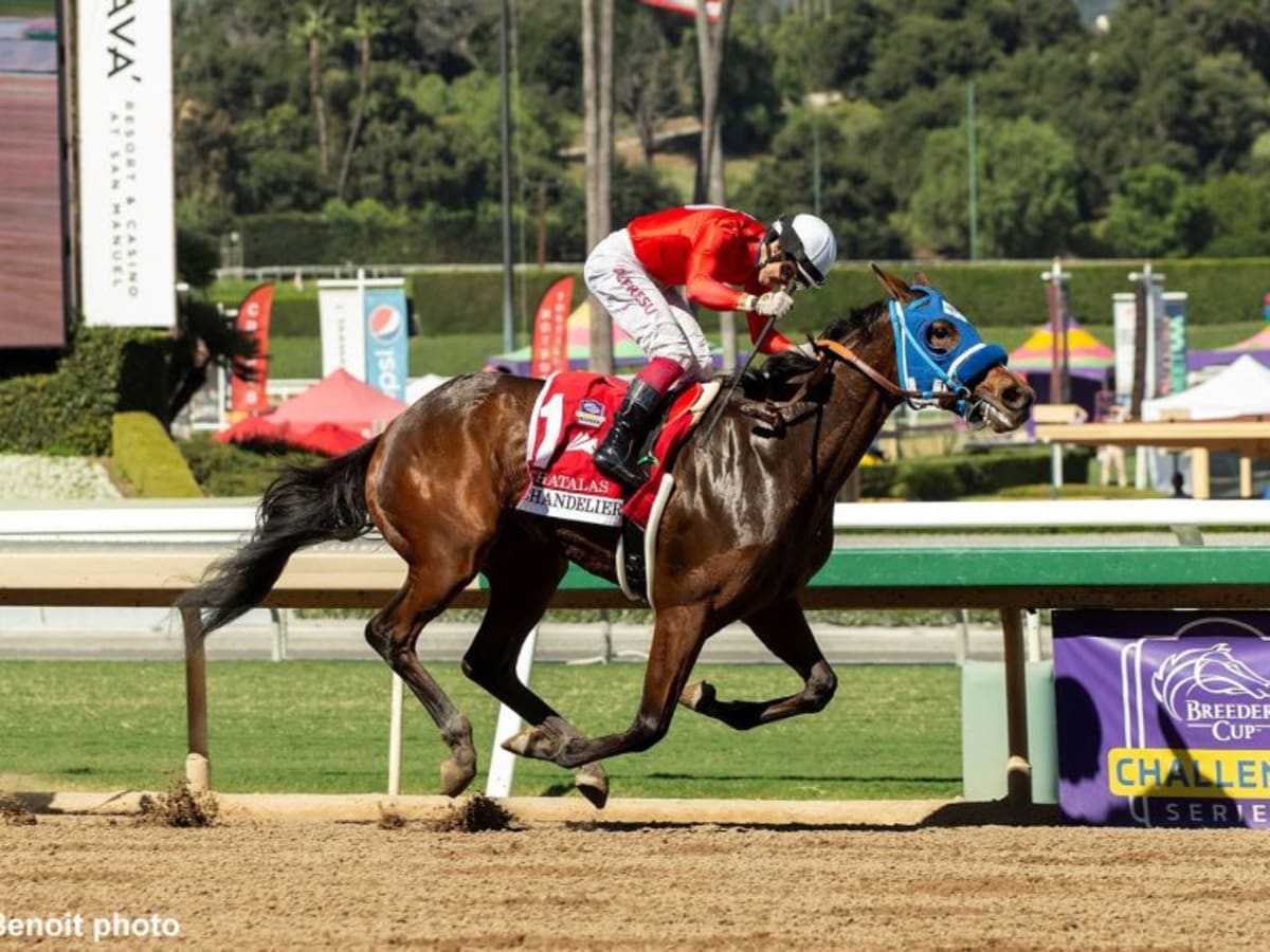 Race for 3-Year-Old Title Could Go Down to the Wire - BloodHorse