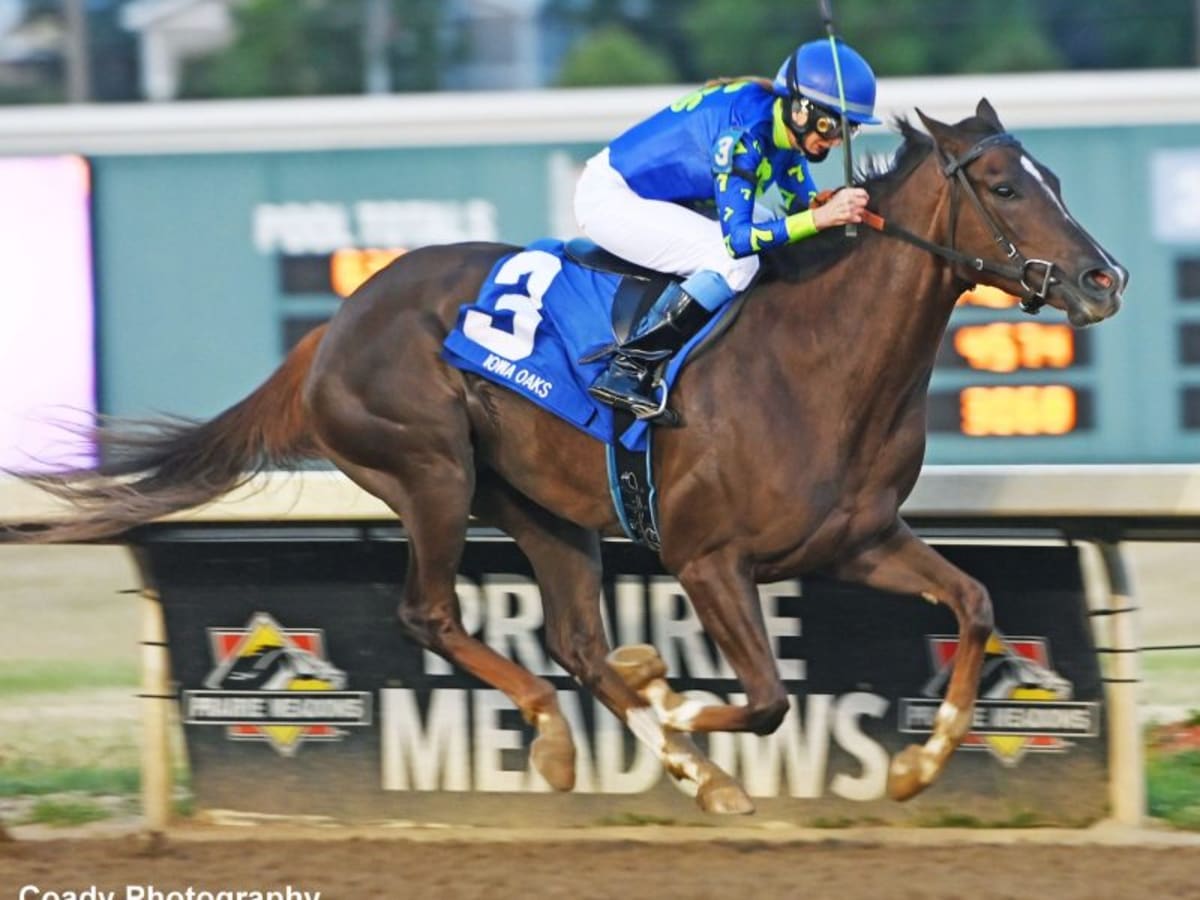 Iowa Oaks Winner Crypto Mo Added To Fasig-Tipton July Selected Horses of  Racing Age Sale - Paulick Report | Latest news and commentary from the  horse racing and equine world