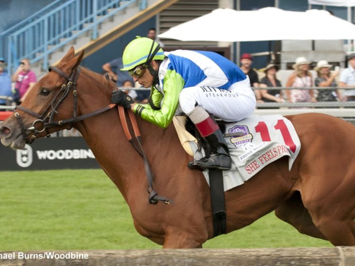 JOCKEY® EverActive™: A New Happily Ever After at Cincinnati