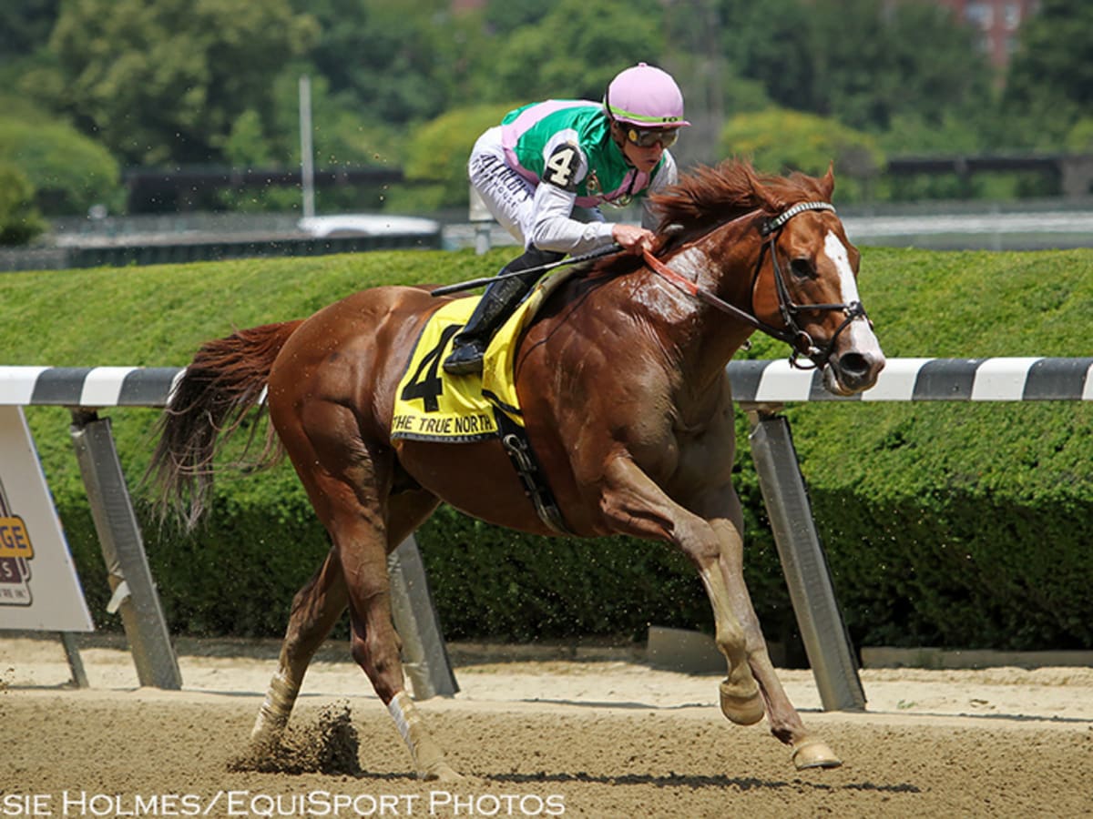 Elite Power Takes the Stage at Juddmonte