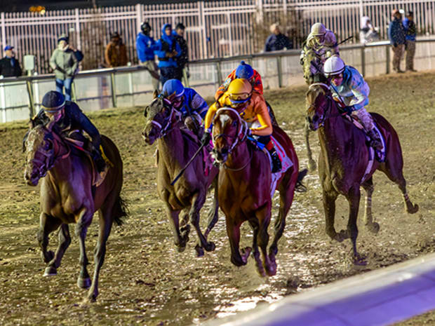 Gulfstream park live hotsell racing on livestream