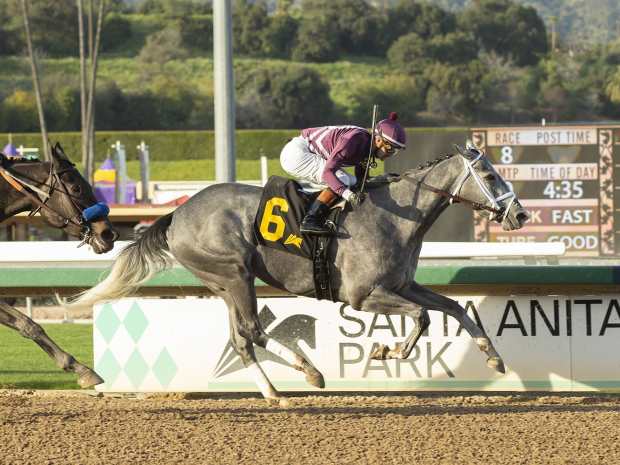 Sky Racing World Launches Free Live Streaming Mobile App Paulick