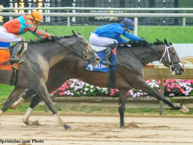 Gentildonna Surges to Victory in Dubai Sheema Classic - Paulick