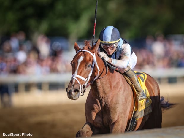 Sky Racing World Launches Free Live Streaming Mobile App Paulick