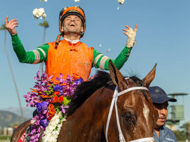 Champion Werther Takes On Japan's Takarazuka Kinen - Paulick