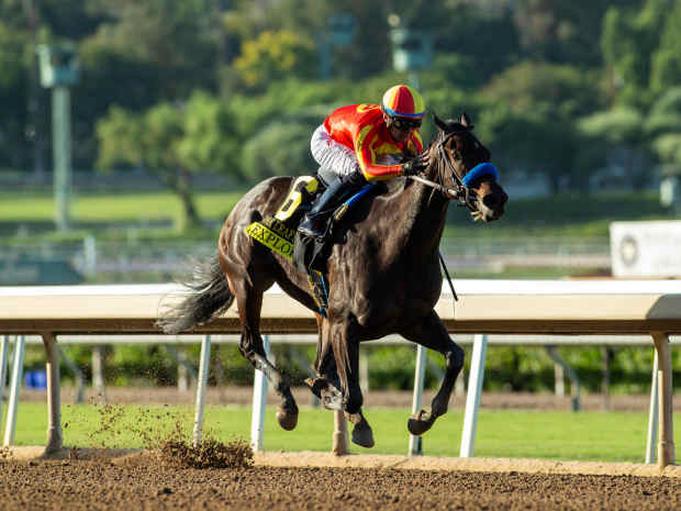 Gentildonna Surges to Victory in Dubai Sheema Classic - Paulick