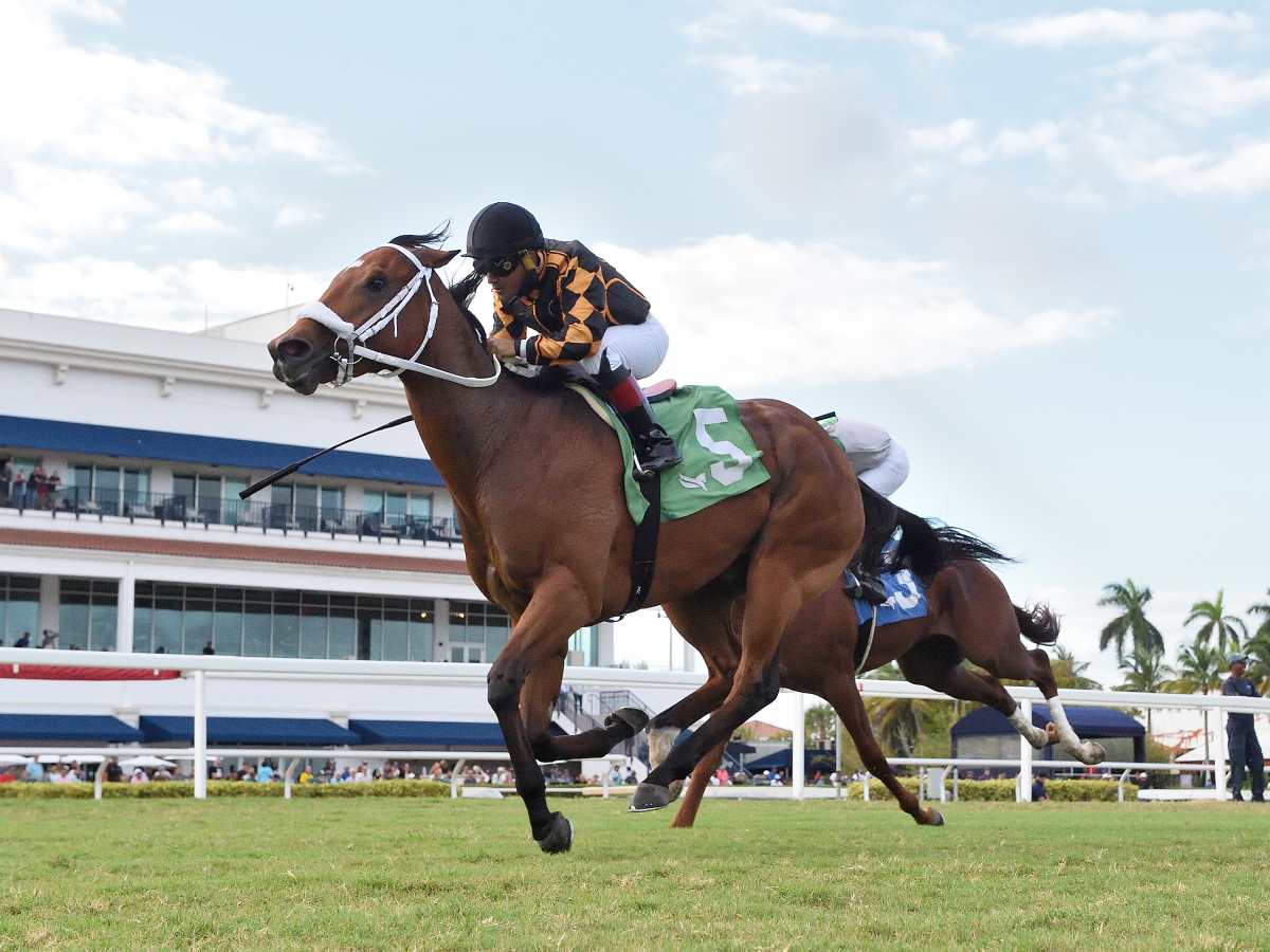 Doing Everything Right': Naughty Rascal Eyes Third Stakes