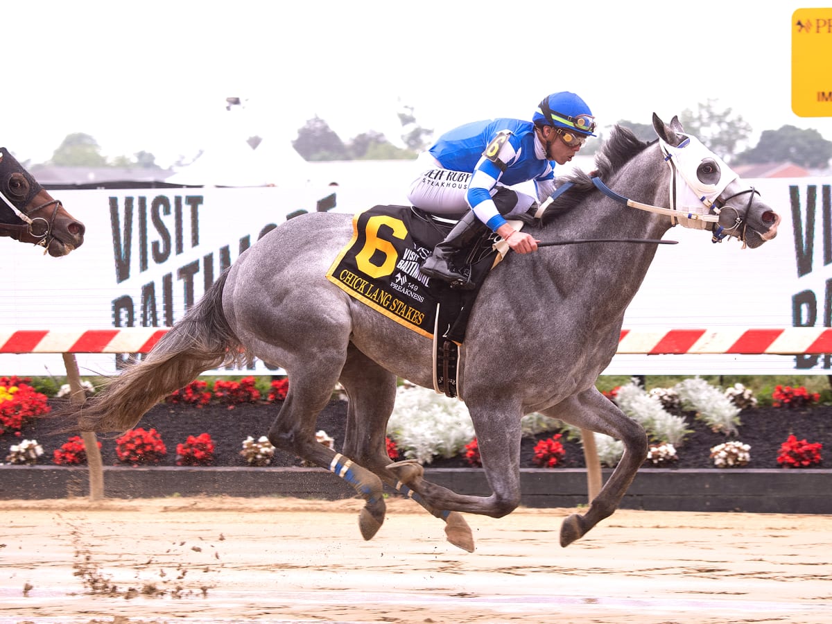 やっちゃん 様 thoroughbred frost-free_2024-chick-