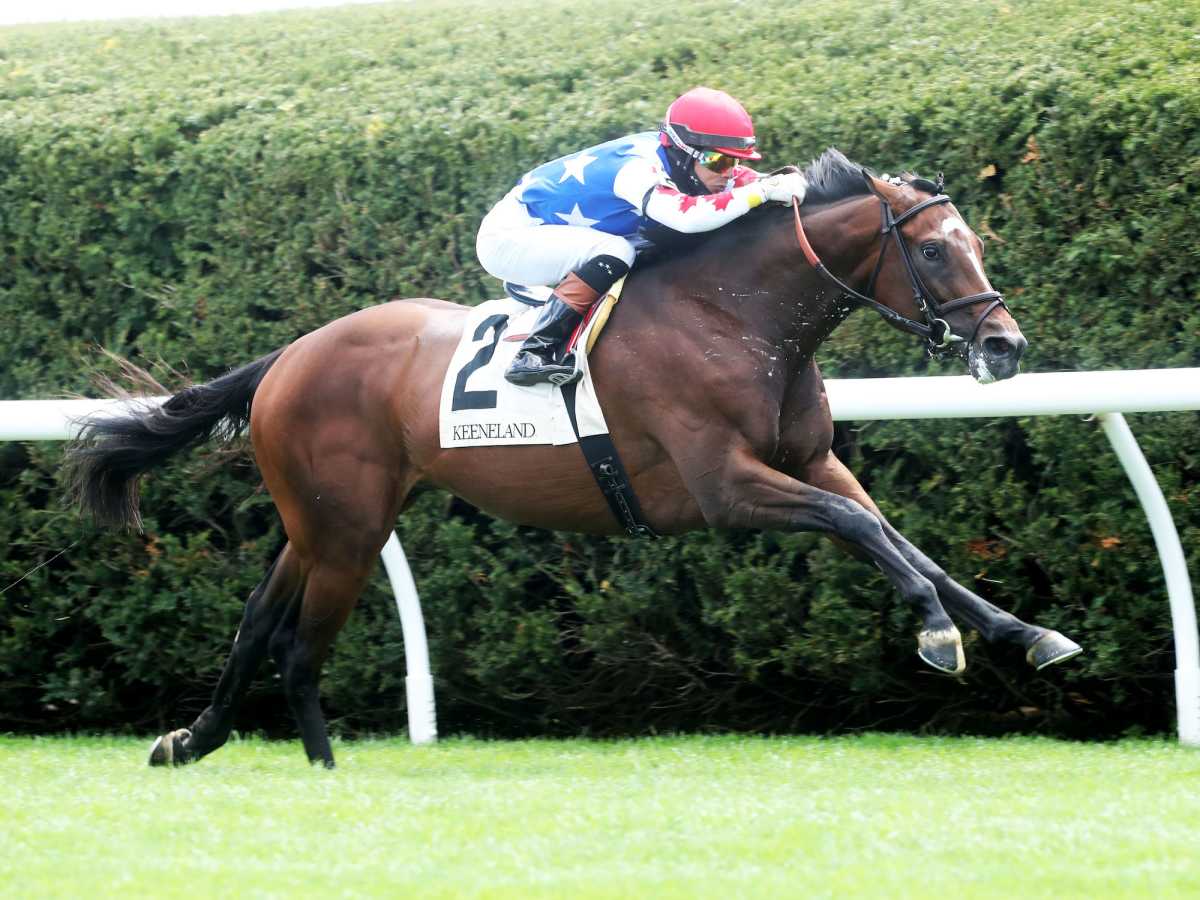 Equibase Analysis Pennine Ridge Stakes Features 3 Year Olds On Turf Paulick Report Latest news and commentary from the horse racing and equine world