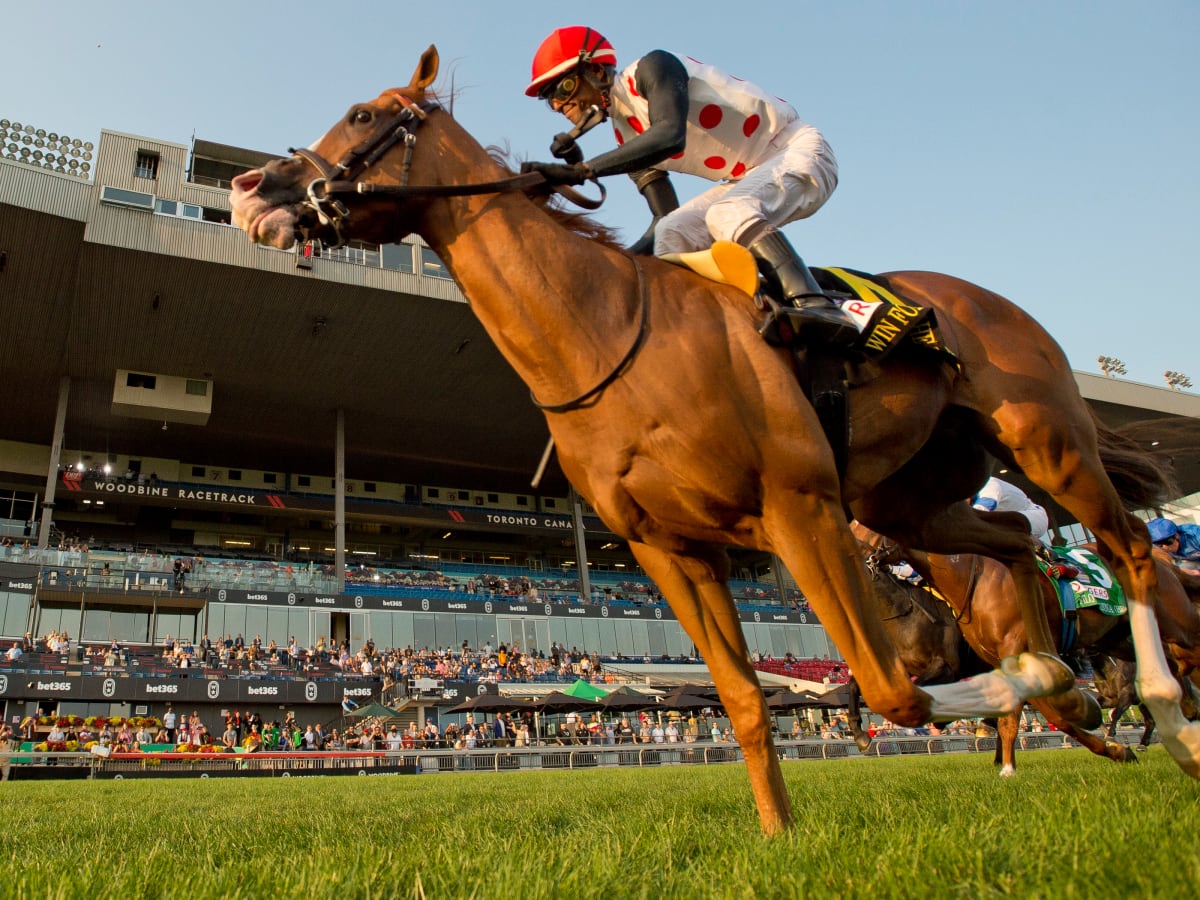 Grade 1 Winner Win For The Money Expected To Make Season Debut In