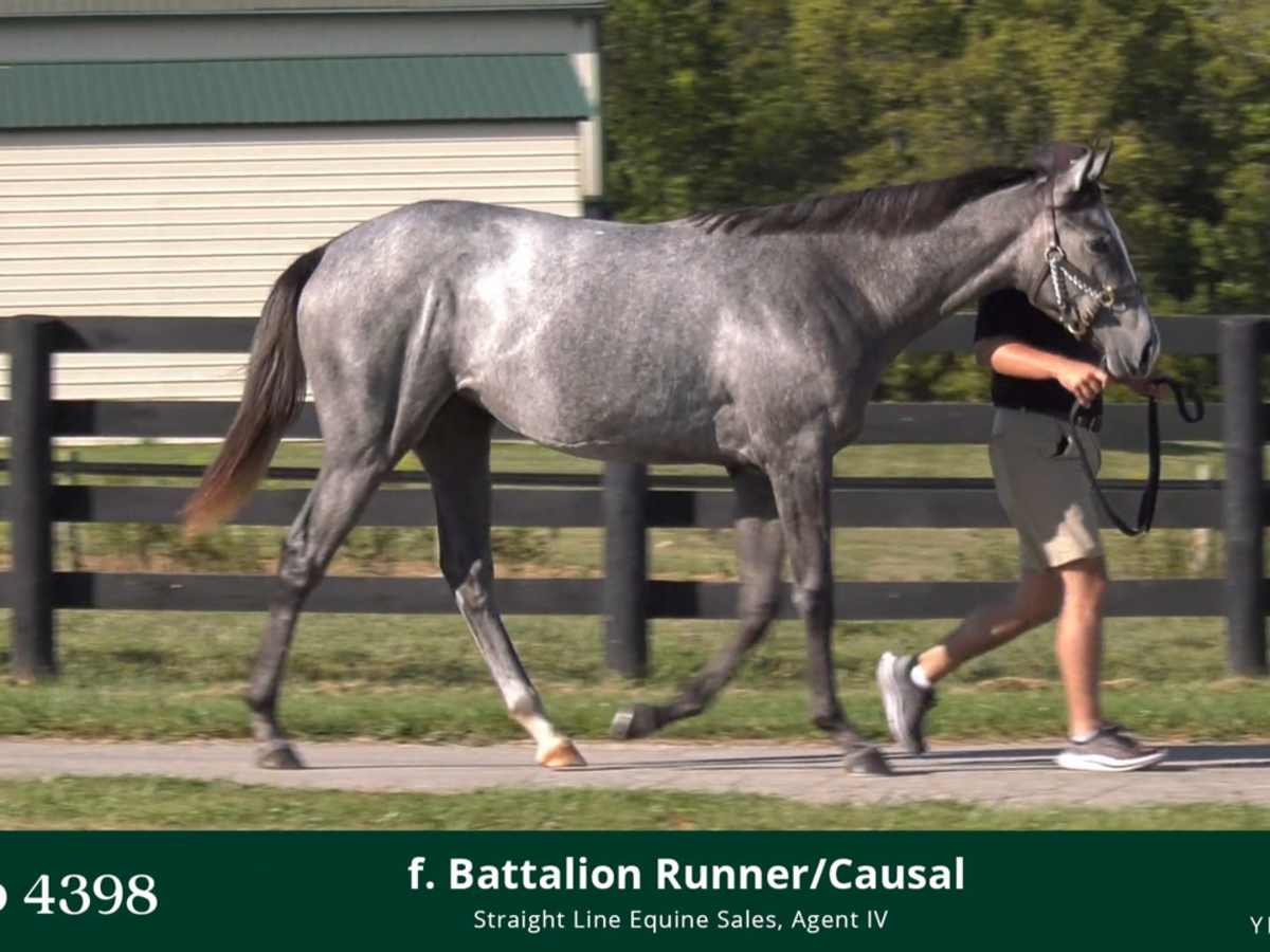 週間売れ筋 Hip 4398, Line Straight from Casual, x Runner Battalion 小物