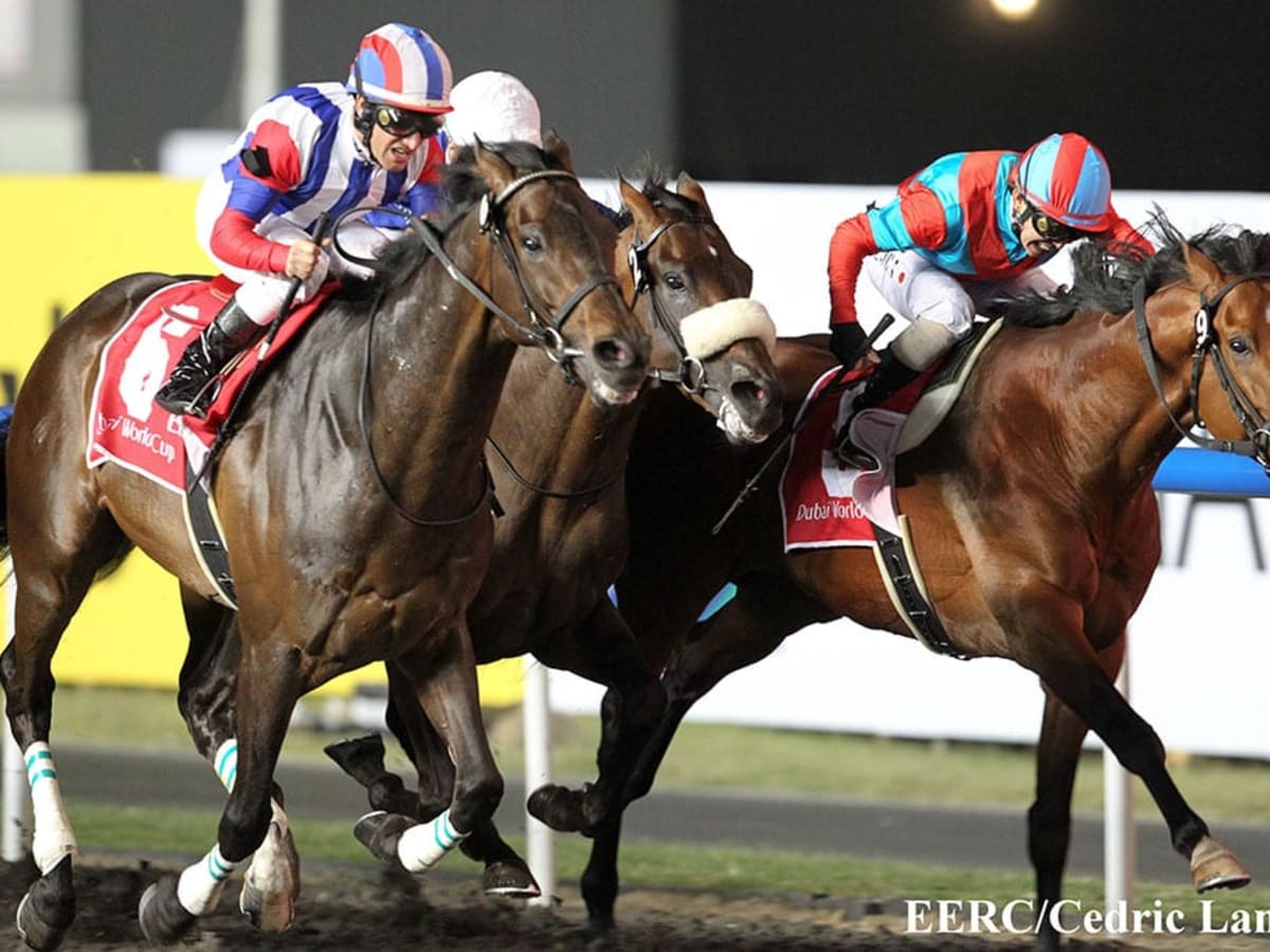 2011 DUBAI WORLD CUP Victoire Pisa 記念品｜サッカー・フットサル