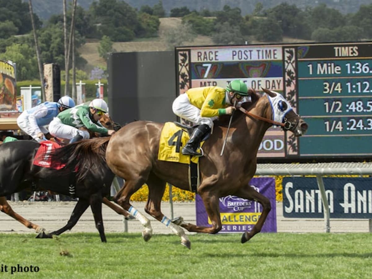 Win Machine Vasilika Claims Second Grade 1 Triumph In Gamely