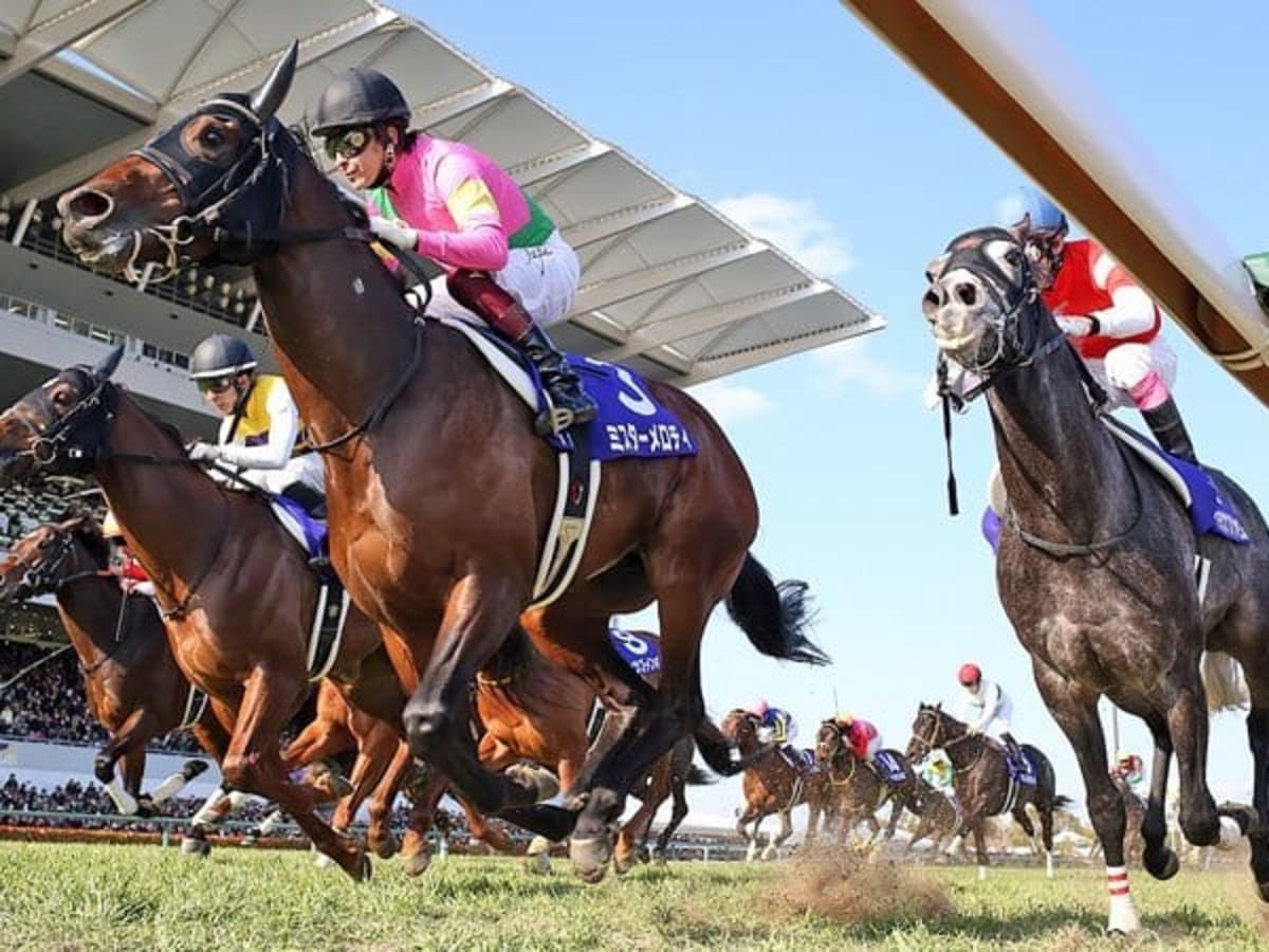 Kentucky-Bred Mr Melody Scores Grade 1 Win In Japan