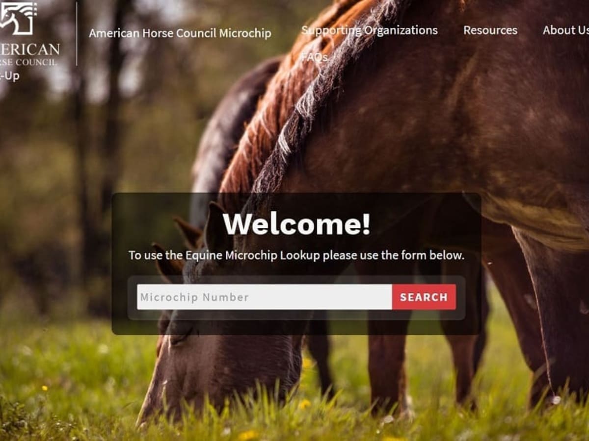 Horse sales microchip lookup