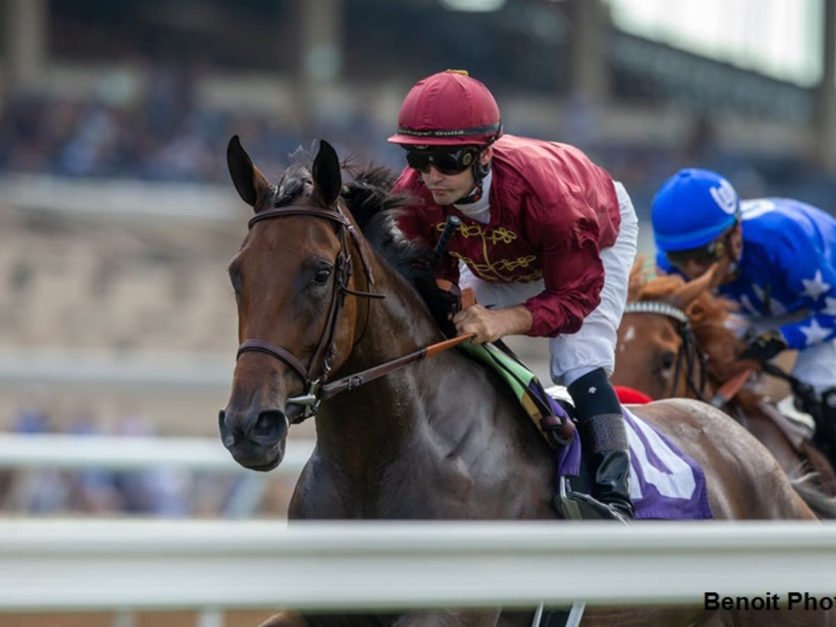 グランドアーカイブ Red Hare, Unrivaled Stallion Red Hare,Unrivaled