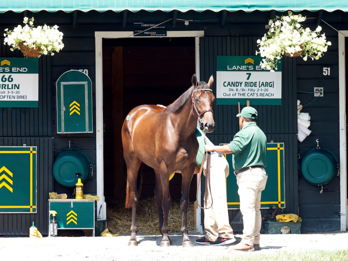 End trainer sale sales