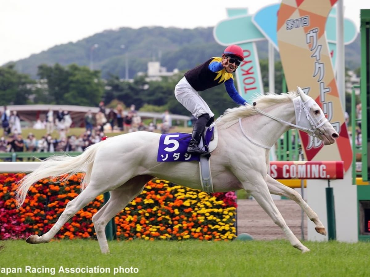 sodashi---2022-victoria-mile--