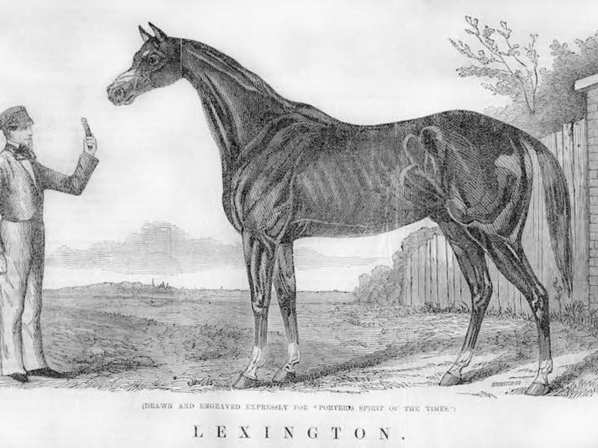 This Week In History: An American In Newmarket, Extremely