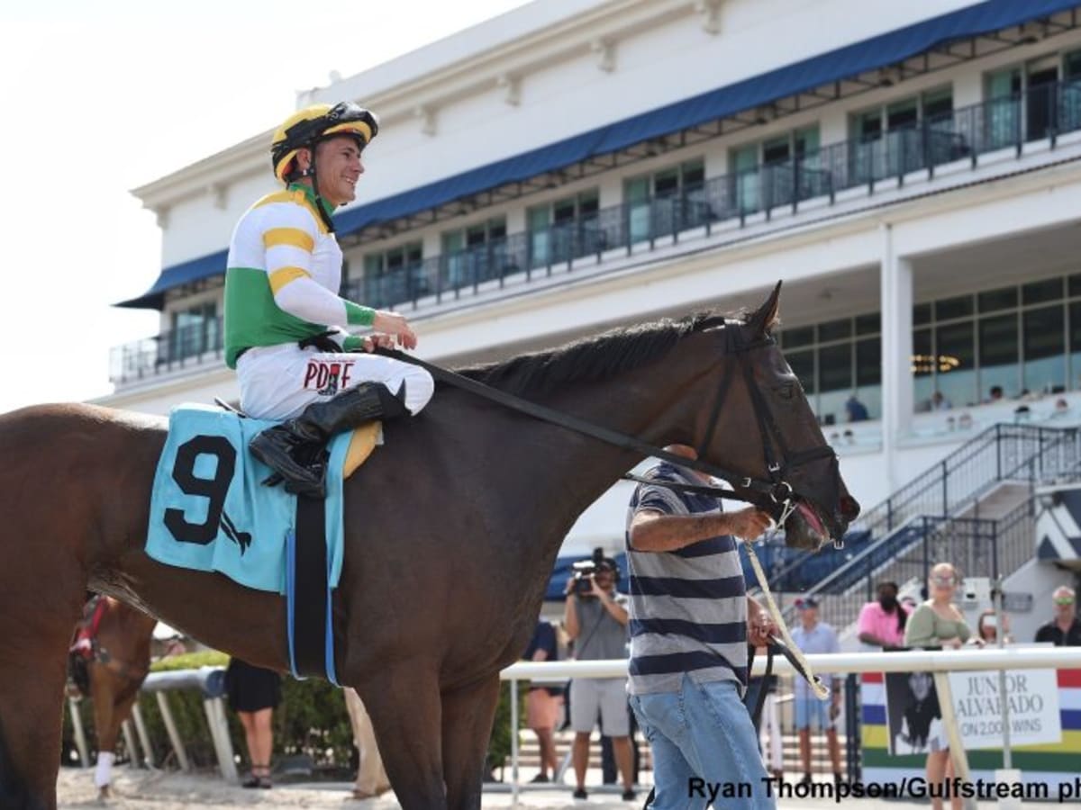 Jockeys Of The Week Career Milestones Lead To Tie Between Tyler Gaffalione Junior Alvarado Paulick Report Latest news and commentary from the horse racing and equine world