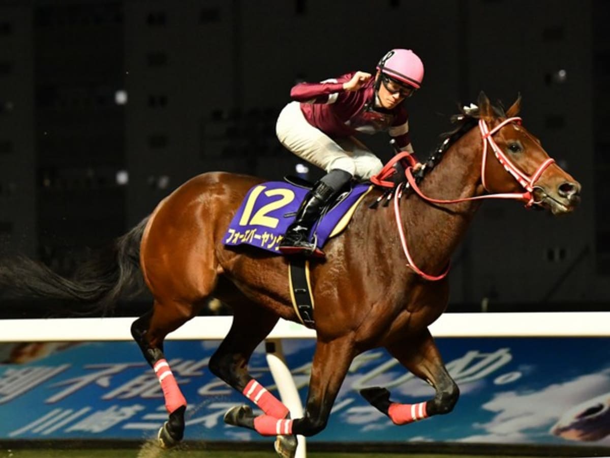早割切符 forever-young-wins-zen-nippon- ネクタイ一般