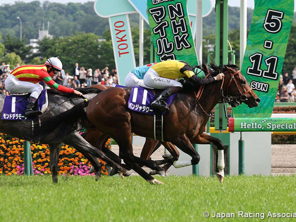 panja-tower_2025-nhk-mile_jra-