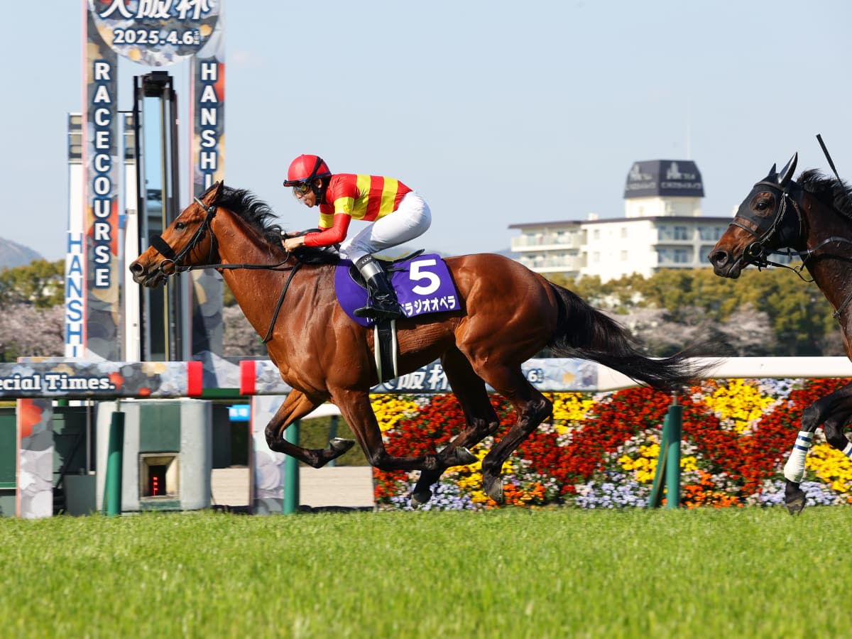 競走馬ハンドブック = THE RACEHORSE HANDBOOK 競走馬ハンドブック = THE RACEHORSE HANDBOOK - メルカリ