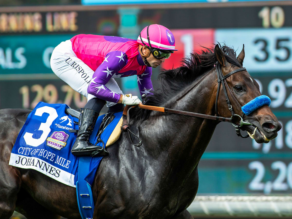 ビジネス・経済 HIT WIN VICTORY II OF HORSE RACE 4496020f1f6348219b108fe3e67416