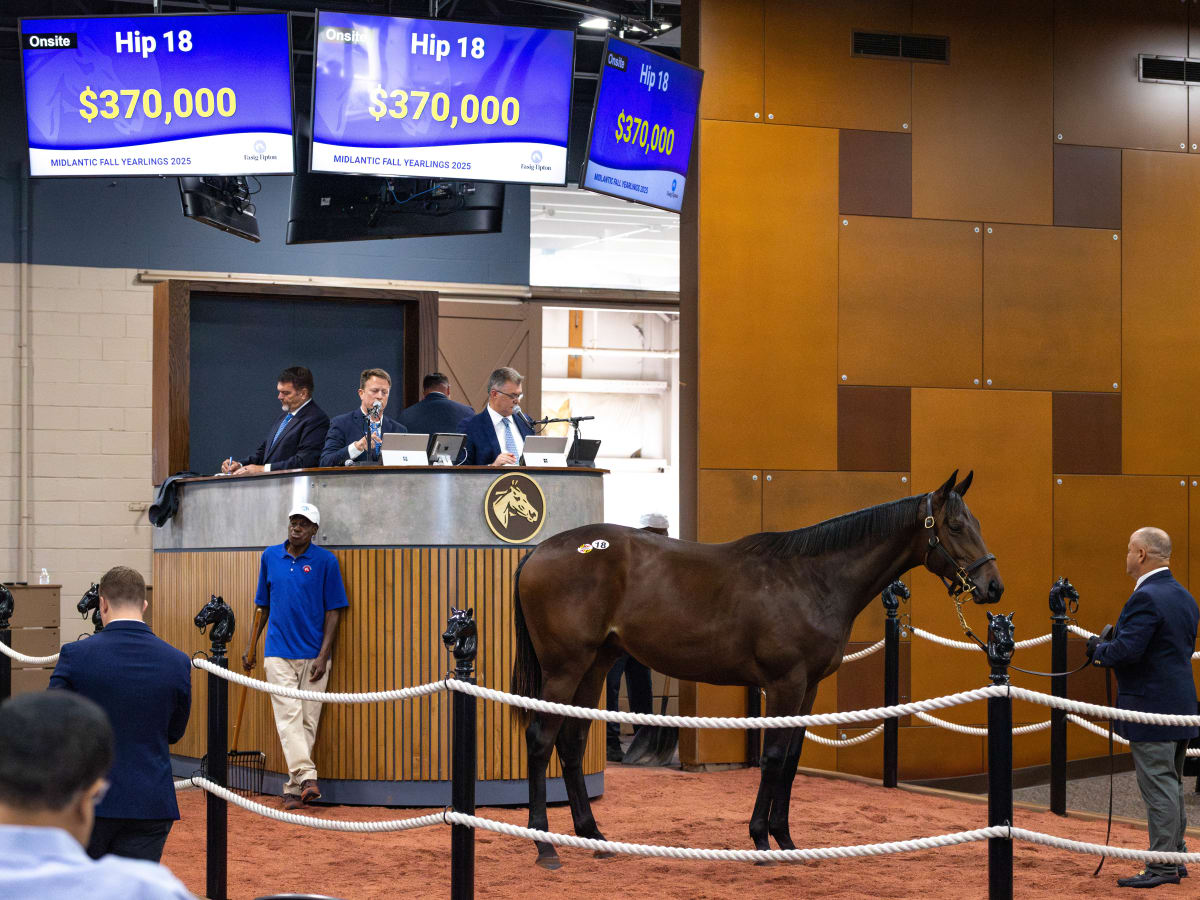 Maryland-Bred Nyquist Colt Leads The Way At 2025 Fasig-Tipton