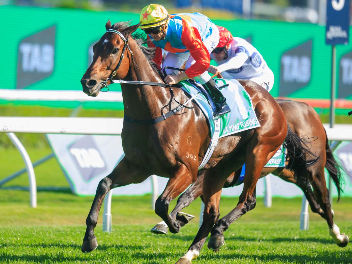 0*1様 60s〜 british hong kong leisure jake Hong Kong's Brilliant Ka Ying Rising Conquers Australia's