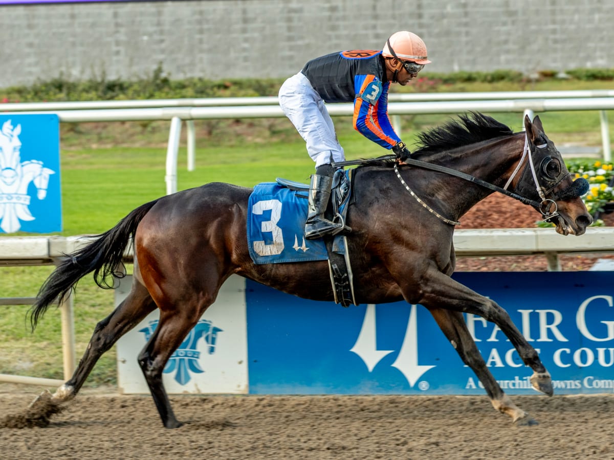 Rising Inflation, Mr. Mo Money Victorious In Opening Day Stakes At