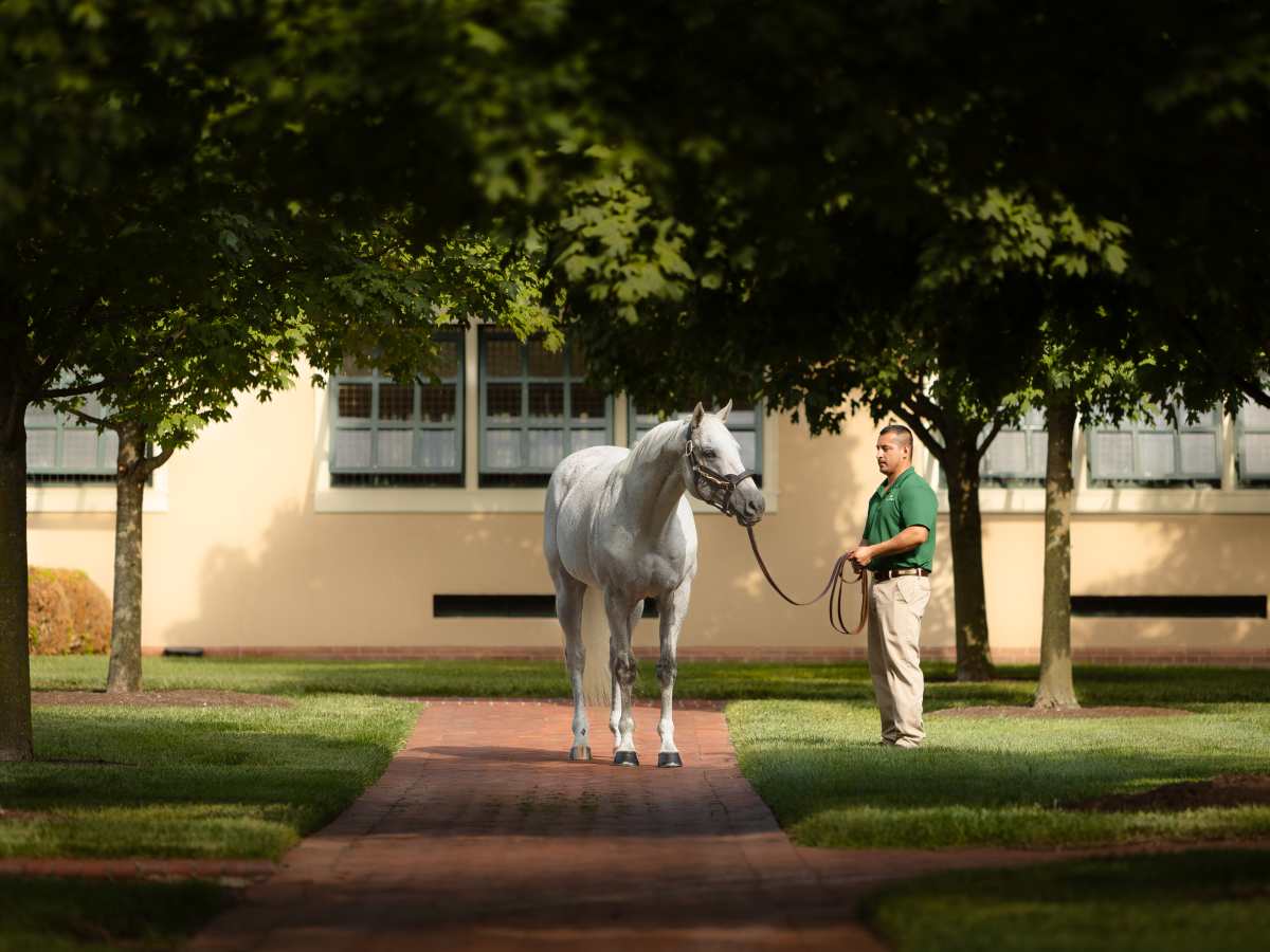 The 2024-25 All-Value Sire Team Presented By Biederman Real