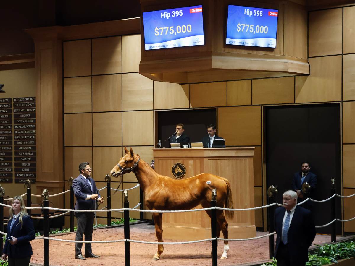 hip-395-a-curlin-colt-out-of-