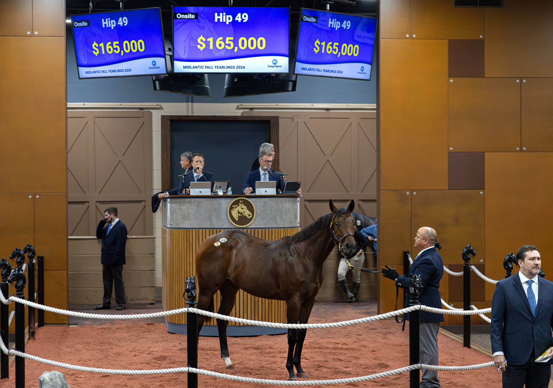 Fasig-Tipton's 2025 Midlantic Fall Yearlings Sale Catalog Now
