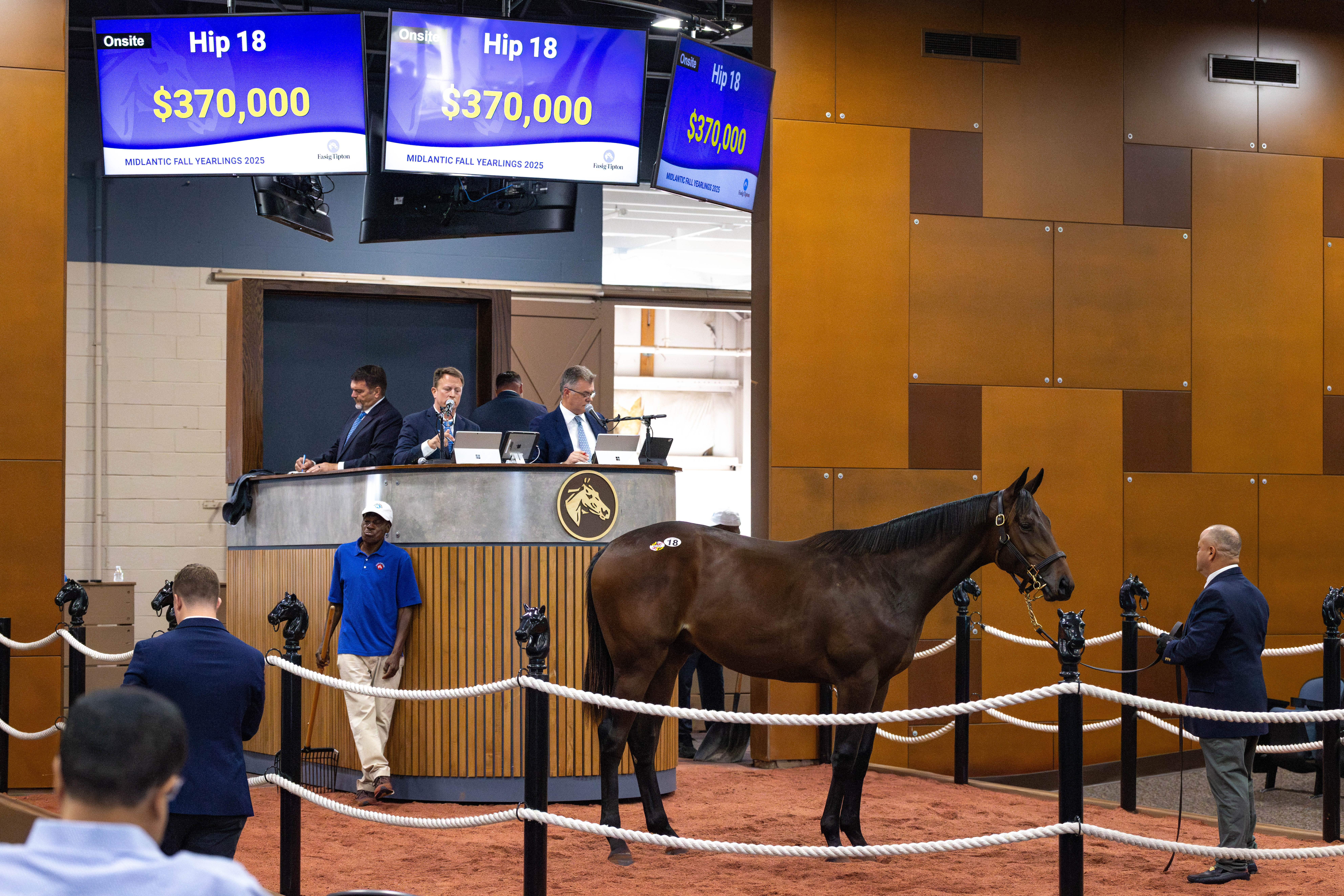 Maryland-Bred Nyquist Colt Leads The Way At 2025 Fasig-Tipton