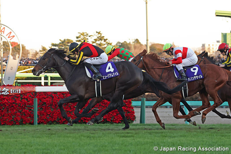 Annual Wagering Increase Continues In Japan - Paulick Report