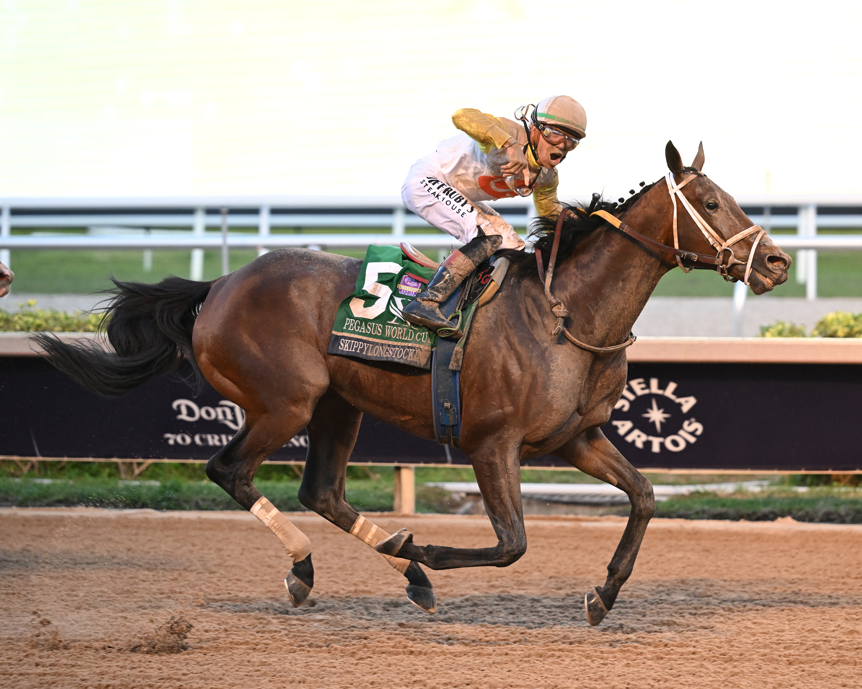 I've Never Felt This Much Pressure In My Life': Saffie Joseph