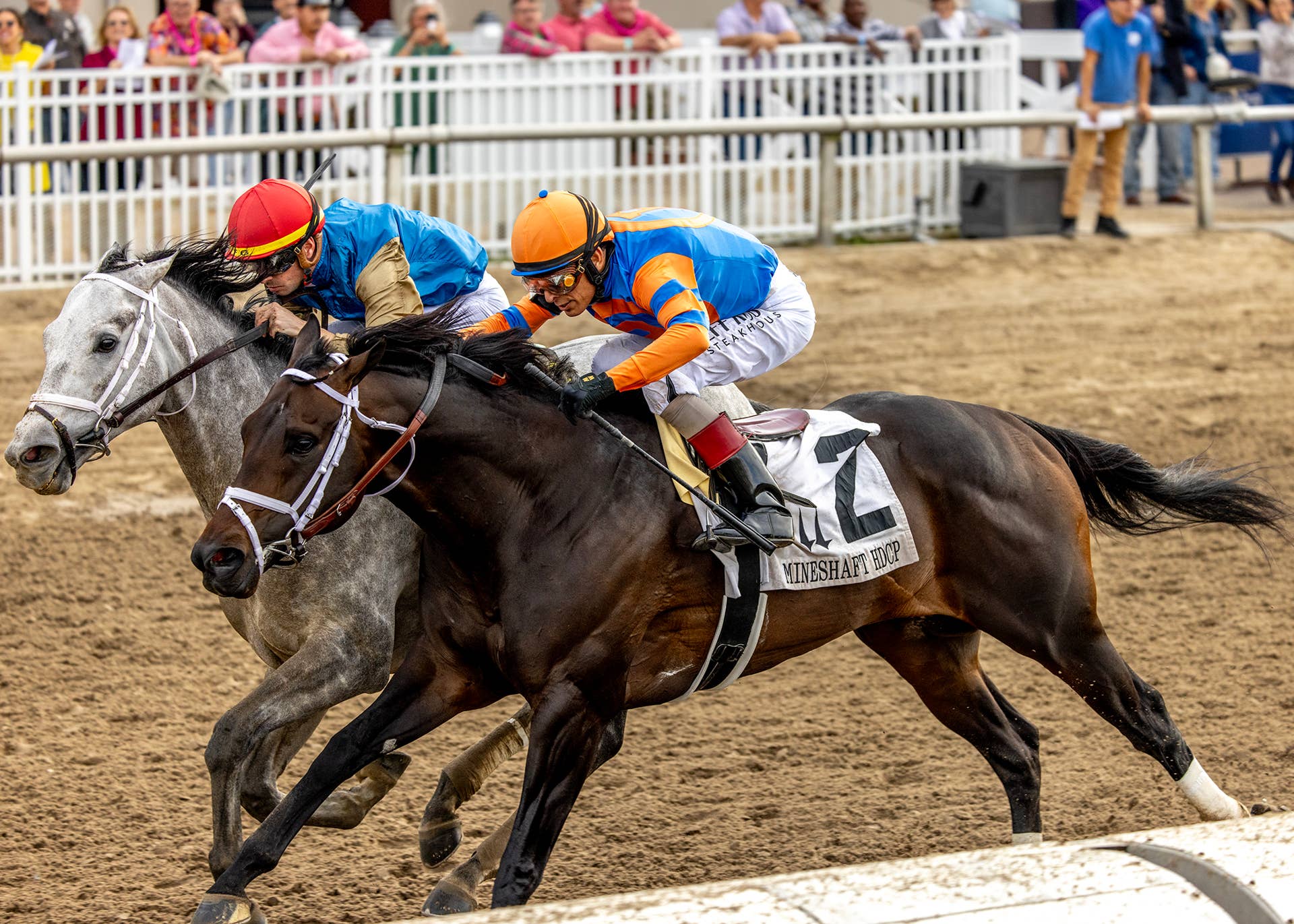 Hit Show Takes Mineshaft By Head Bob, Could Aim For Dubai World Hit Show Takes Mineshaft By Head Bob, Could Aim For Dubai World