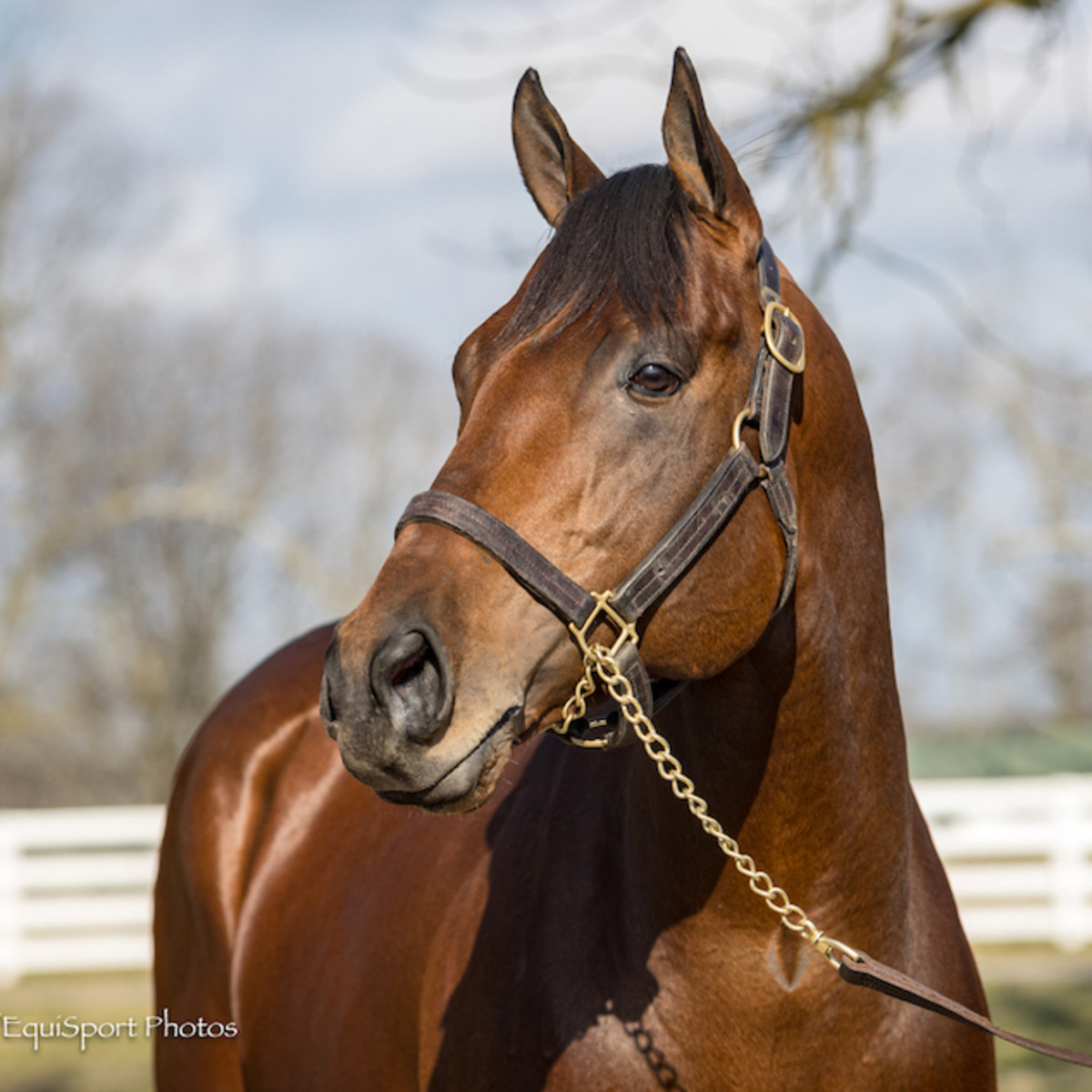 four-wheel-drive-at-darby-dan-