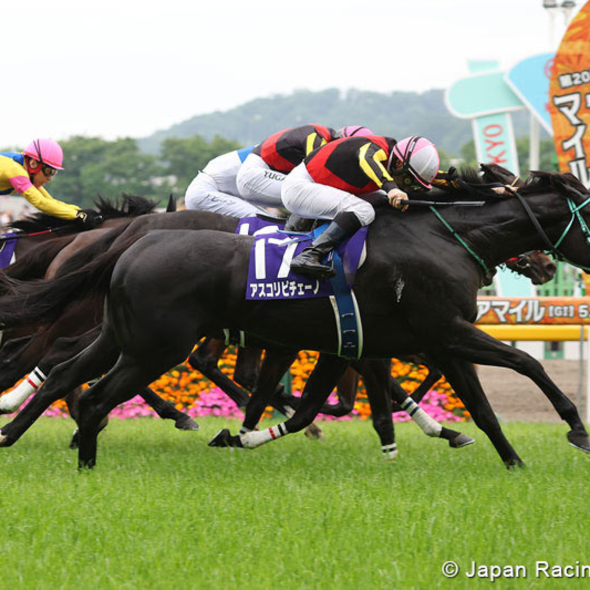 Ascoli Piceno Prevails In Tight Finish In Victoria Mile In Japan